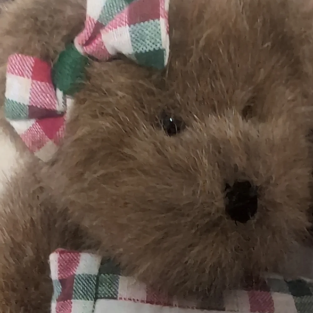 Boyds Bears celebrate season